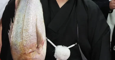 Aonishiki : l'Ukrainien qui a fui pour accomplir son rêve de sumo