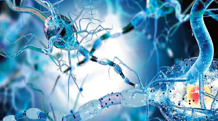 Assurés de droit, abandonnés de fait