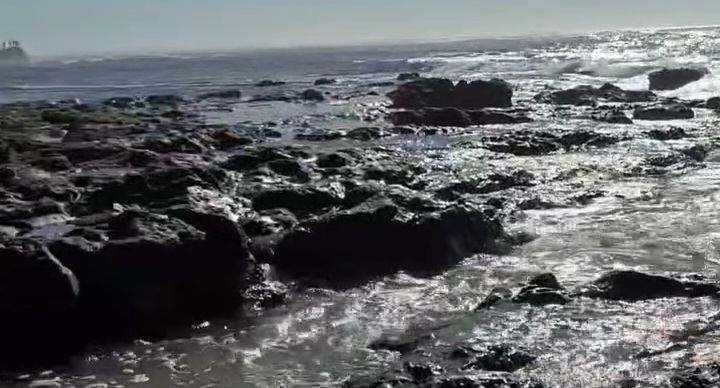 Bizerte : corps en décomposition rejeté par la mer à Sidi Mansour