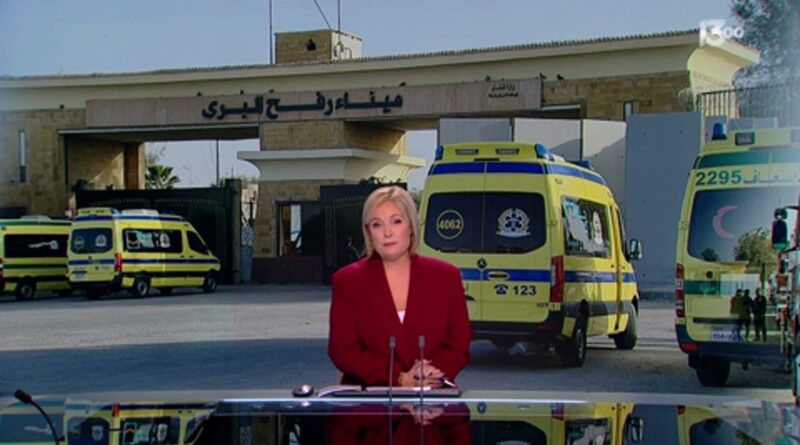 Blocage de l’aide humanitaire à Gaza : deux Franco-Israéliennes accusées de "complicité de génocide"