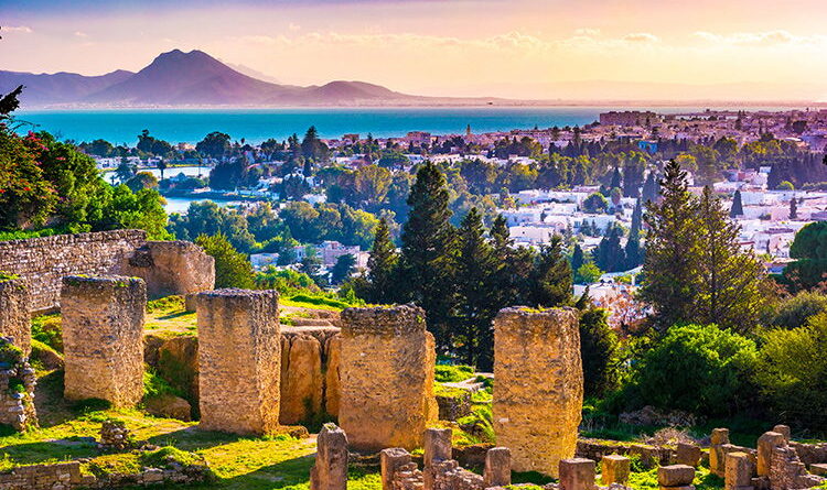 Chroniques de la Byrsa : une exploration inédite et captivante