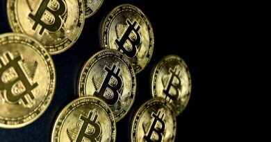 Cryptorapt en Isère : Enlèvement d'une magistrate et de sa mère