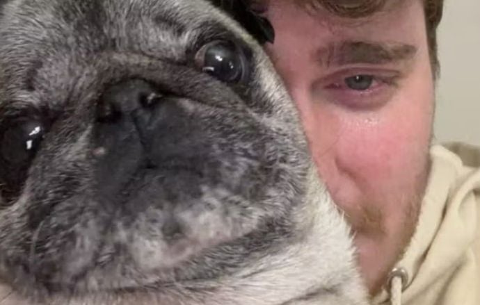 Cyril Schreiner retrouve son chien, mais ne se passe pas de polémique.