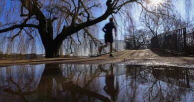 Des températures de mai en février : « Ce n’est pas isolé »
