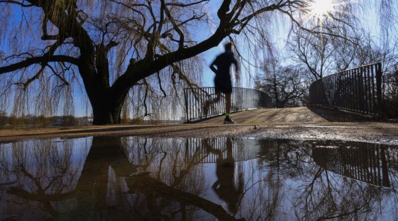 Des températures de mai en février : « Ce n’est pas isolé »