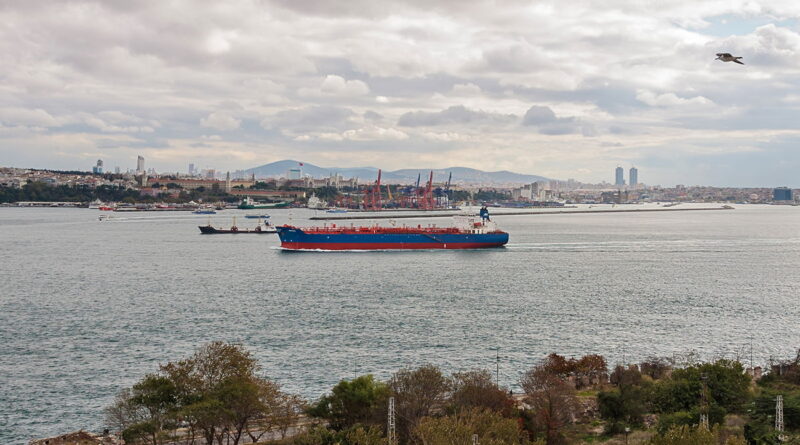 Disparition d’un enfant au port d’Istanbul : la famille lance un appel à l’aide
