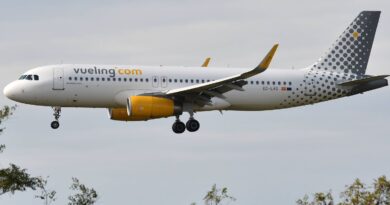 Espagne : Un homme monte sur un avion à Valence avant le décollage