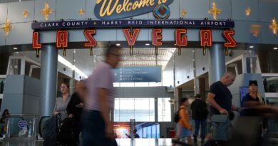 Etats-Unis : Abandon d'un chien dans le hall de l'aéroport de Las Vegas