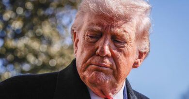 Etats-Unis : L’administration Trump doit réinstaller une exposition sur l’esclavage