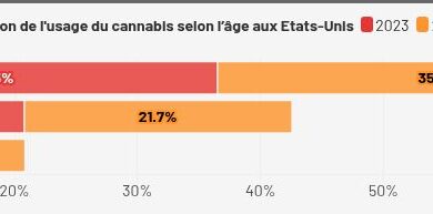 Etats-Unis : Légalisation du cannabis, l'Amérique ne fume-t-elle pas trop ?
