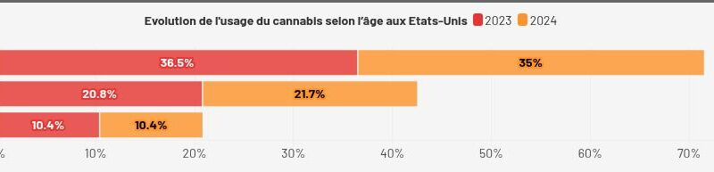 Etats-Unis : Légalisation du cannabis, l'Amérique ne fume-t-elle pas trop ?