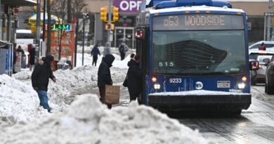 Etats-Unis : New York déplore 13 morts d'hypothermie due à un froid exceptionnel