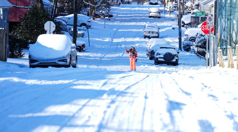 Froid paralysant : collisions et iguanes chutant des arbres aux Etats-Unis
