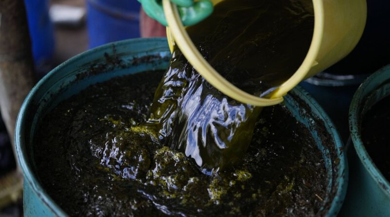 Gonzalito, baron de la drogue en Colombie, ne meurt pas noyé