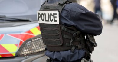 Grenoble : Un septuagénaire avoue deux meurtres après avoir été écroué pour viols sur 89 mineurs.