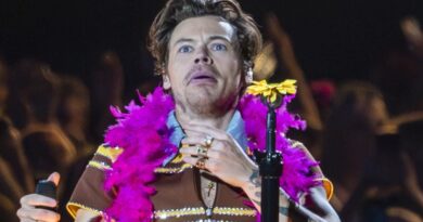 Harry Styles classé parmi les contribuables britanniques les plus imposés.