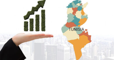 Investissements 2025 : quelles régions tunisiennes ne tirent pas l'économie ?