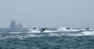 Iran : Le régime effectue des manœuvres militaires dans le détroit d'Ormuz