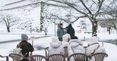 Japon : Trente morts à cause d'abondantes chutes de neige