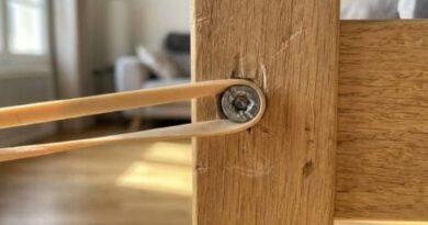 Jean Dujardin, Bruce Willis, Valérie Lemercier : films adaptés de BD.