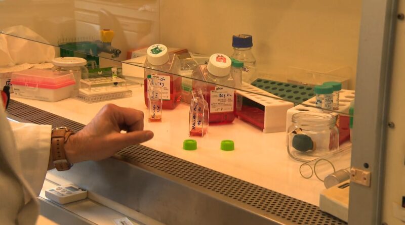 Journée de lutte contre le cancer : espoir pour les traitements sur mesure