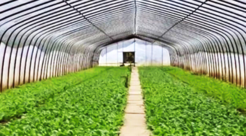 Kébili : La géothermie ne sera pas la clé d'une nouvelle ère agricole