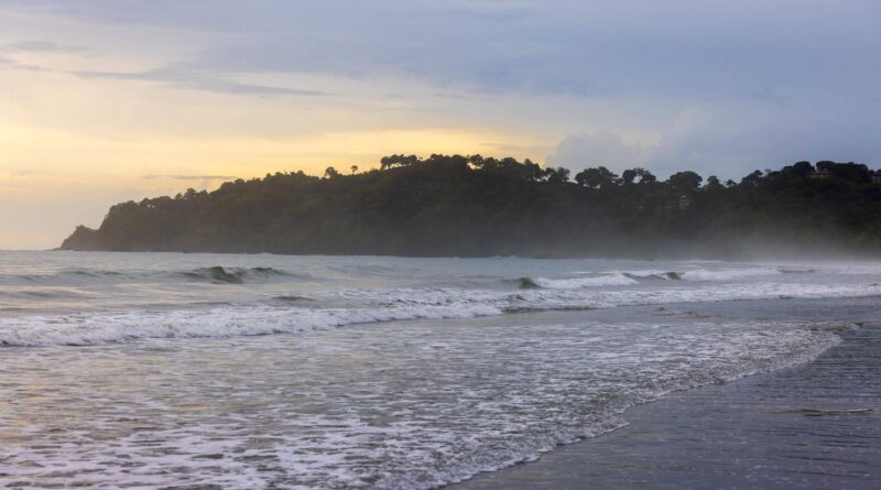 Kurt Van Dyke, légende du surf californien, est mort étranglé et poignardé.
