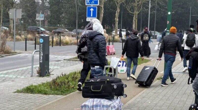 La Cour constitutionnelle suspend deux restrictions pour demandeurs d'asile en Belgique.