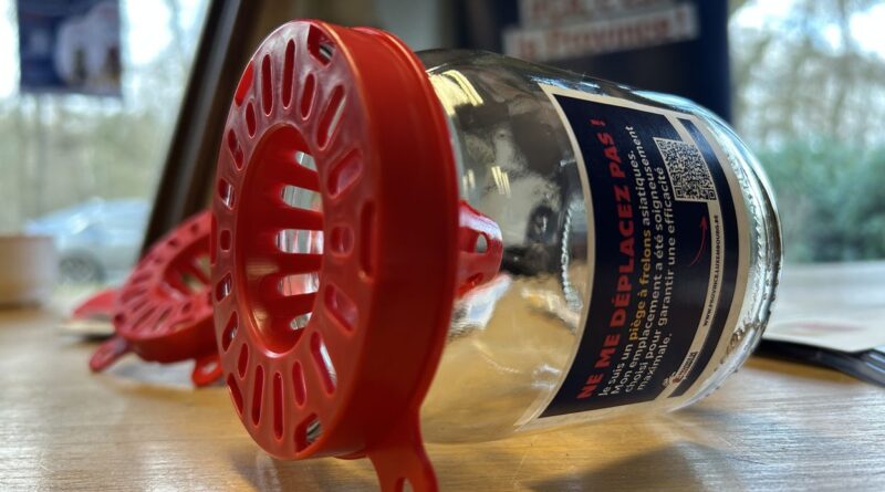 La province remet 45.000 pièges à frelons asiatiques aux communes.