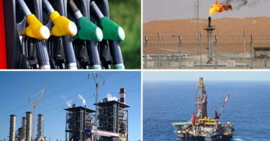 La Tunisie veut transformer l'énergie en levier de développement.