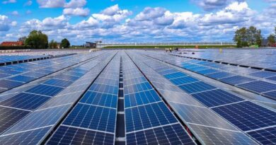 L’Afrique va multiplier par six ses capacités solaires d'ici 2029.