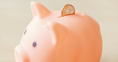 Lasagne institutionnelle : comment les gouvernements peuvent-ils économiser plus ?