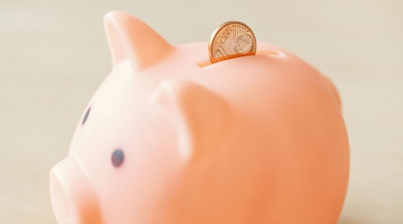 Lasagne institutionnelle : comment les gouvernements peuvent-ils économiser plus ?