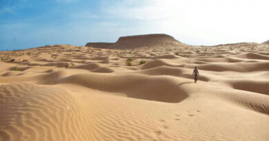 Le désert tunisien aux frontières de l'Algérie, pôle touristique cinématographique