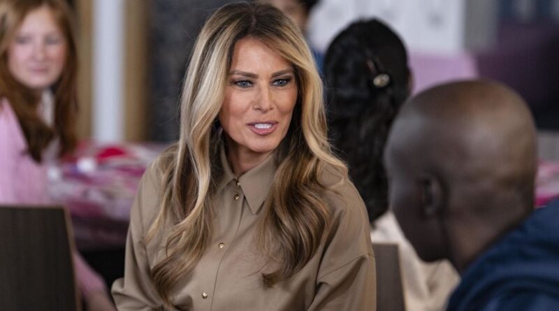 Le producteur de « Melania » ne nie pas avoir violé le droit d'auteur.