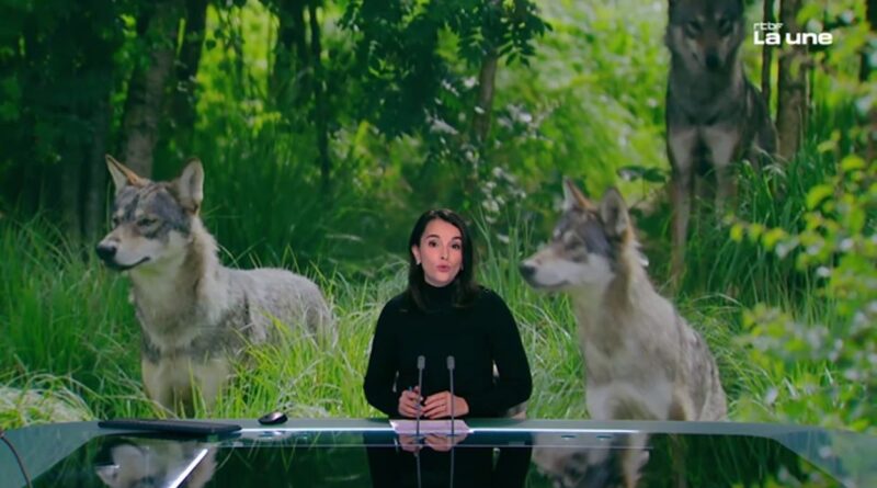 Le retour du loup, opportunité pour les régions d'installation