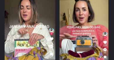 Le sac analogique, nouvel it-bag des cool girls.