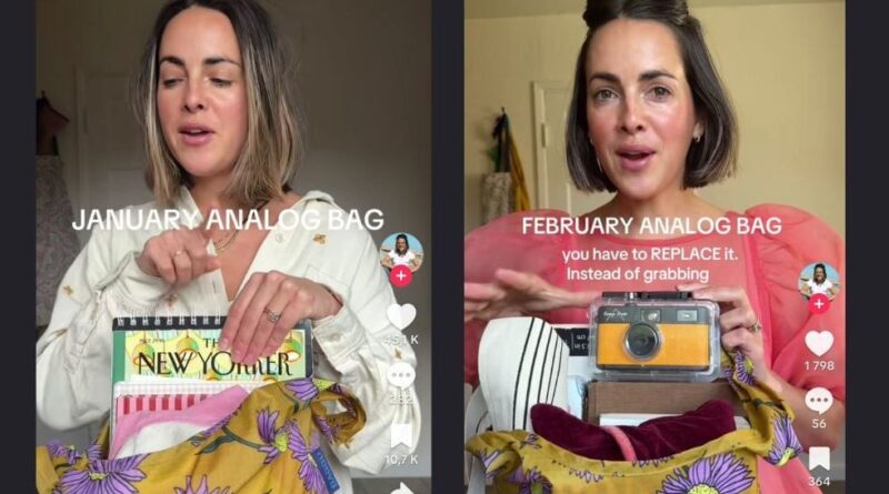 Le sac analogique, nouvel it-bag des cool girls.