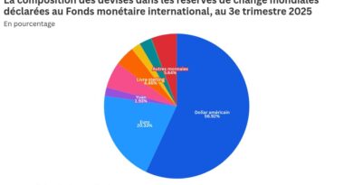 Le yuan va-t-il détrôner le dollar dans l'économie mondiale ?