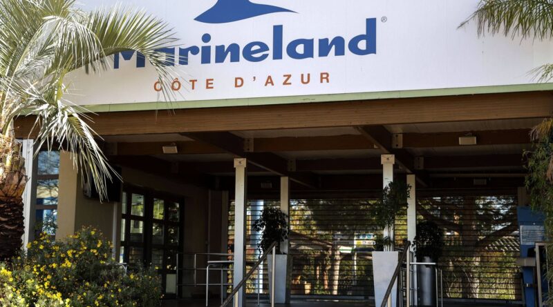 Le zoo de Beauval accueillera en 2027 les dauphins de Marineland et Planète sauvage.