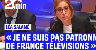 Léa Salamé défend son statut de « femme libre » face aux députés.