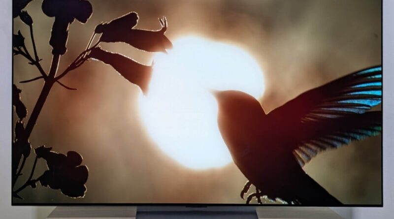 Les meilleurs TV pour le sport en 2026 : choix disponibles ?