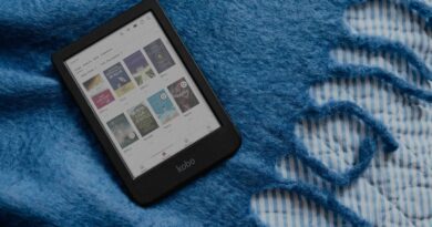 Liseuses numériques : La romance attire les lectrices en 2025, pas Lena Situation.