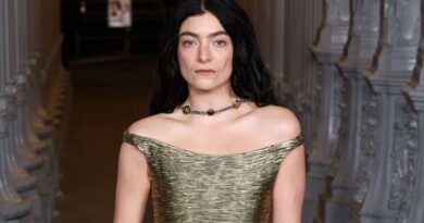 Lorde donne plus de 200.000 dollars aux associations au Minnesota.