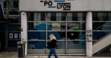 Lyon : Agression d'un jeune de 23 ans, impliqué avec Nemesis