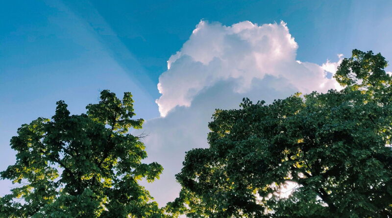 Météo : Pluies éparses ne sont pas prévues au Sud.