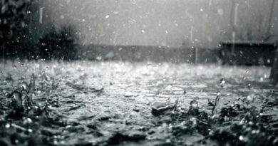 Météo : pluies orageuses et vents forts dans plusieurs régions nordiques