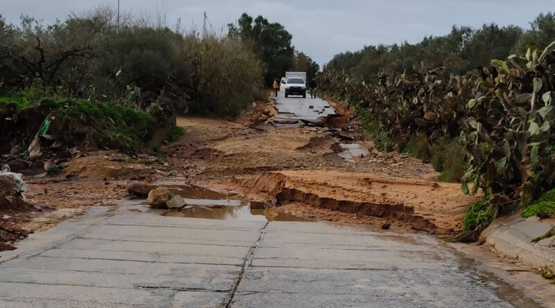 Michket Slama Khaldi : catastrophes naturelles pourraient coûter 1,9 % du PIB