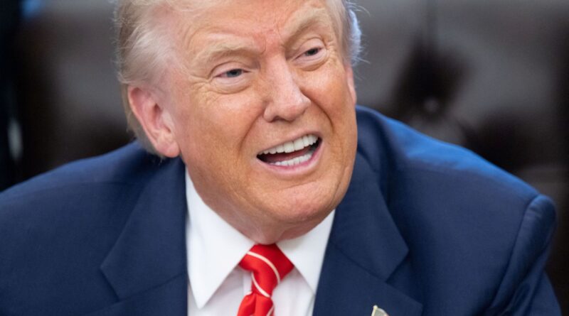 Minneapolis : Donald Trump évoque une "approche plus délicate" pour l'immigration.