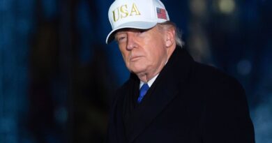 Minneapolis : Trump adopte une méthode ferme mais douce sur l'immigration